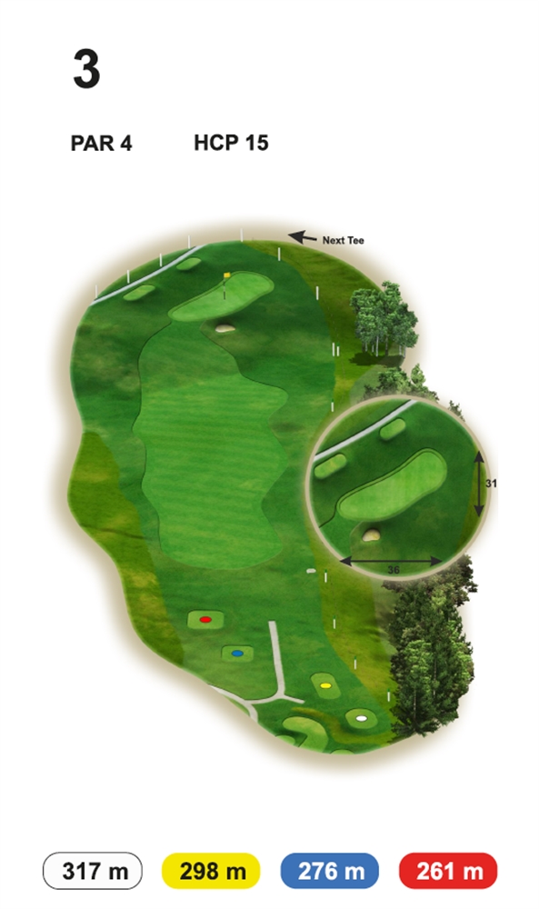 Loch 3 Buna Vista Golf