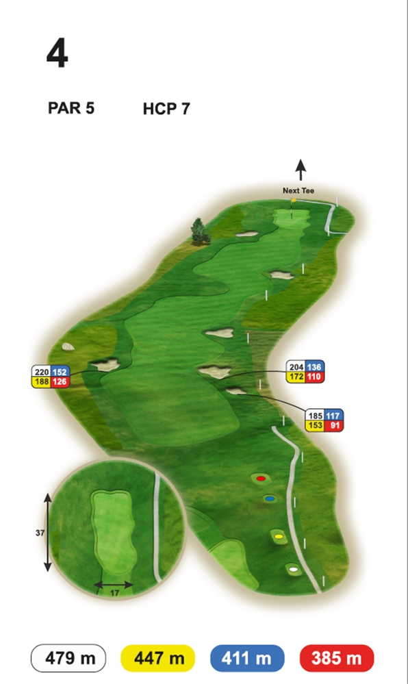 Loch 4 Buna Vista Golf