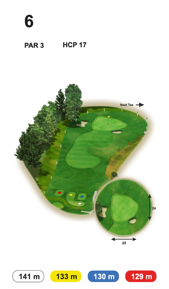 Loch 6 Buna Vista Golf